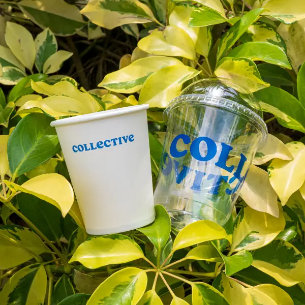 Klarer PET-Eisbecher mit individuellem Druck, der im Außengarten ausgestellt wird